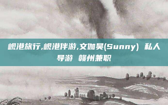 抚顺岘港旅行,岘港伴游,文伽昊(Sunny) 私人导游 赣州兼职