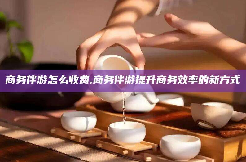 抚顺商务伴游怎么收费,商务伴游提升商务效率的新方式