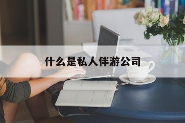 网上说的伴游什么意思最新资讯（谁能告诉我哪里有抚顺什么是私人伴游公司？）